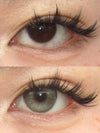 Serltyca Champagne Brown Colored Contacts Daily Wear/6pcs