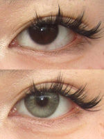 Serltyca Champagne Brown Colored Contacts Daily Wear/6pcs