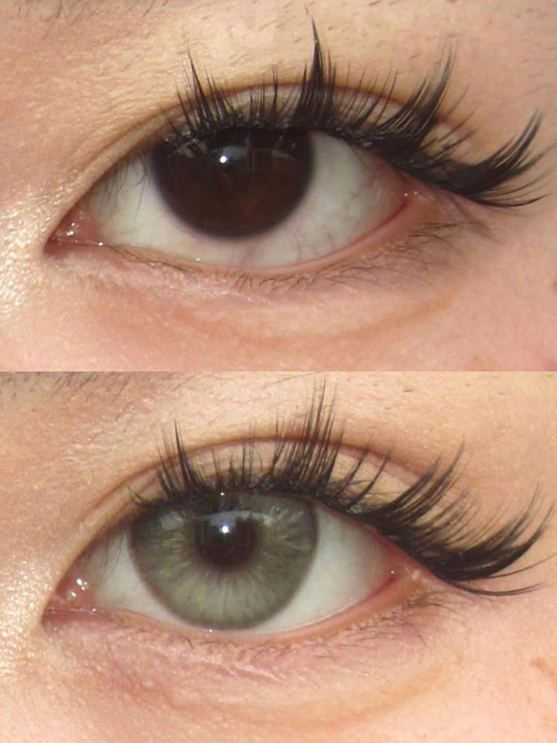 Serltyca Champagne Brown Colored Contacts Daily Wear/6pcs
