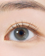 URIA i-DOL Euroring Watery Gray Contacts 6-Month Wear 1pcs/box