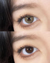 Serltyca Wooden Camel Brown Colored Contacts 6months Wear