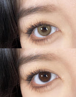 Serltyca Wooden Camel Brown Colored Contacts 6months Wear