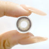 Apical Middle East Brown Colored Contacts 6months Wear / 1pc