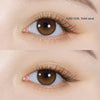 URIA i-DOL Yurial Serum Brown Contacts Yearly Wear 1pcs/box