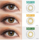 OLens Scandi 1Day Gray Colored Contacts Daily Wear  20pcs