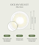 OLens Ocean Velvet Olive Colored Contacts 1 Day 10pcs/box
