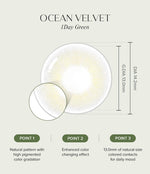 OLens Ocean Velvet Olive Colored Contacts 1 Day 10pcs/box