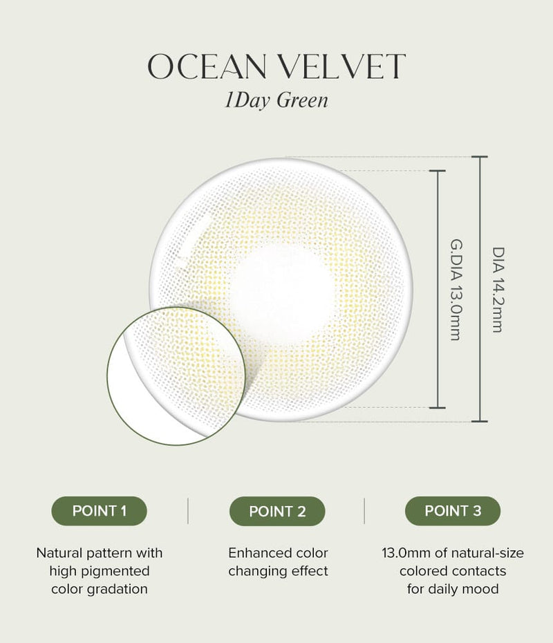 OLens Ocean Velvet Olive Colored Contacts 1 Day 10pcs/box