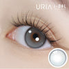 URIA i-DOL Yurial Mul Gray Contacts Yearly Wear 1pcs/box