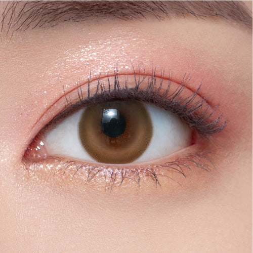 OLens Cherry Moon Brown Colored Contacts 1 Day 10pcs/box